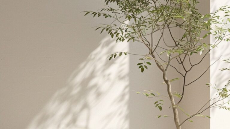 Soft natural light and greenery representing the confidence and peace of mind achieved through personalised financial planning.