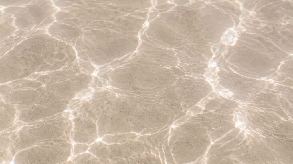Sunlight reflecting on calm water, symbolising financial confidence, clarity and peace of mind.