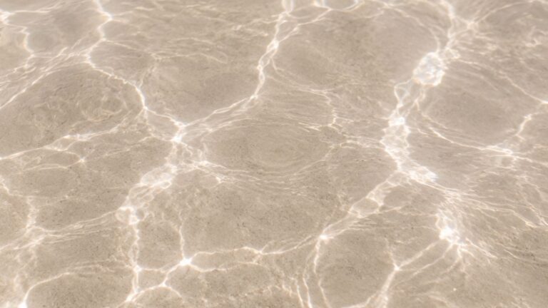 Sunlight reflecting on calm water, symbolising financial confidence, clarity and peace of mind.