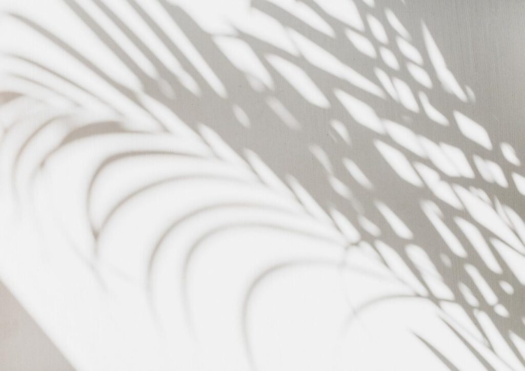 Palm leaf shadows across a light wall, representing reflection, peace, and financial clarity in retirement.