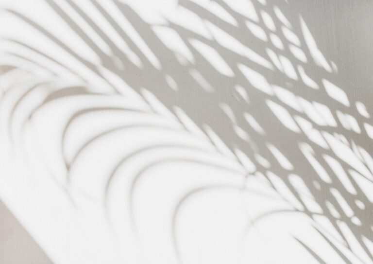 Palm leaf shadows across a light wall, representing reflection, peace, and financial clarity in retirement.