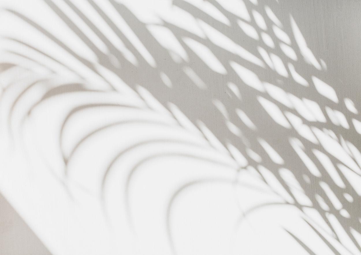 Palm leaf shadows across a light wall, representing reflection, peace, and financial clarity in retirement.